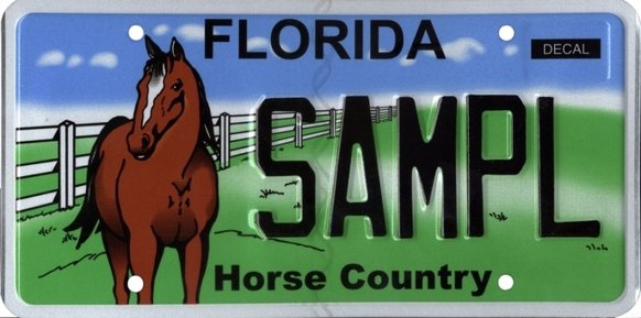 Order a Florida Horse Country specialty license plate to support children in need through AMI Kids in Bay County, Florida